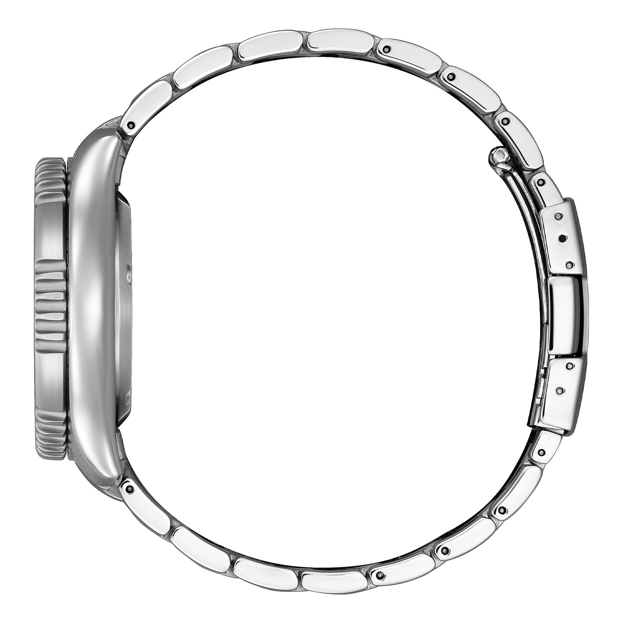 Citizen NY0161-63L Diver's Automatic 200 mt Fugu Limited Edition
